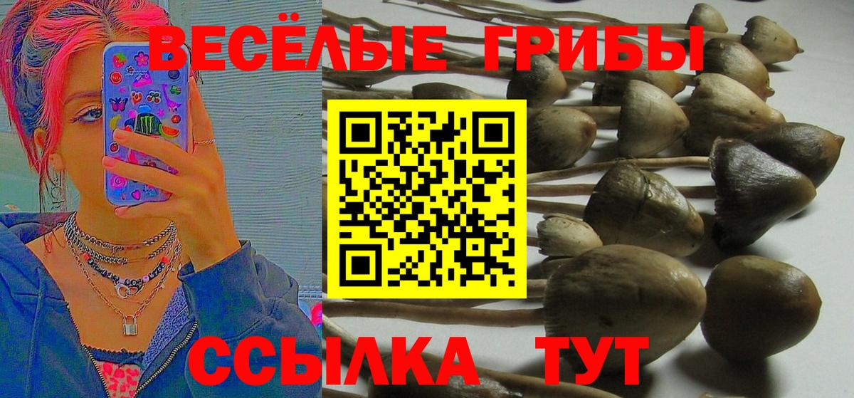 Галлюциногенные грибы Magic Shrooms  Вход с VPN  закладки  Тавда  Галлюциногенные грибы GOLDEN TEACHER 