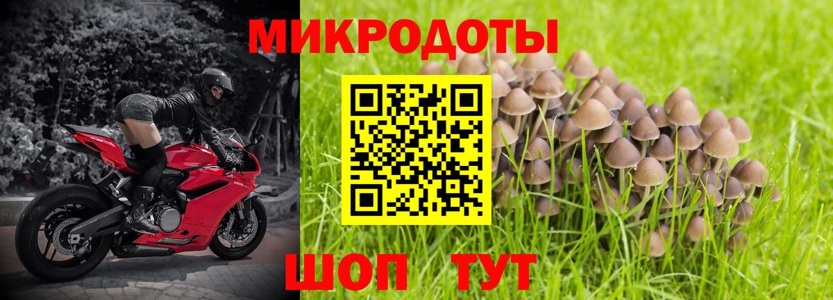 Галлюциногенные грибы Psilocybine cubensis Тавда